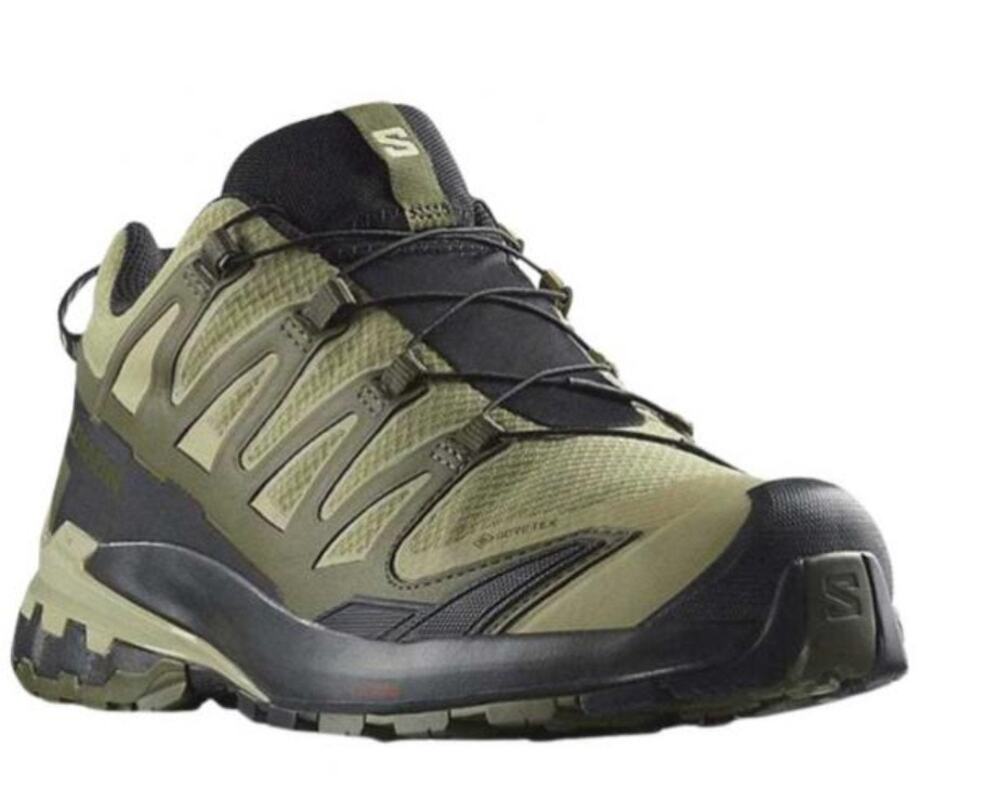 Salomon XA Pro 3D V9 GTX Dried Herb/ Black/ Olive Night (Men's) 12